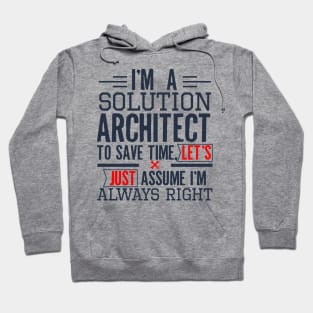 Solution Architect Funny Architect Gift Hoodie